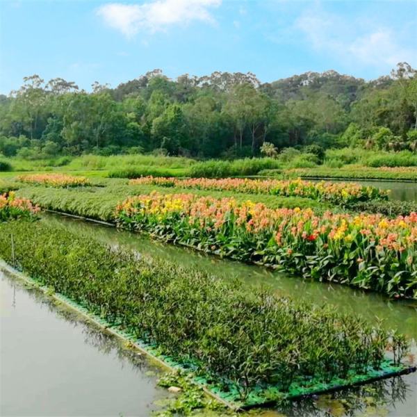 生態(tài)浮島