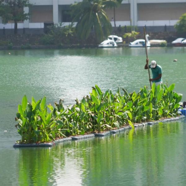 水生植物种植浮岛