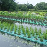 人工生态浮岛 水生植物 河面水体净化造景支持定制上门安装