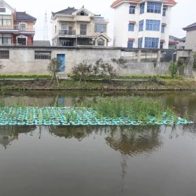 生态浮床 河道绿化工程污水处理水质净化 上门安装工程 可定制