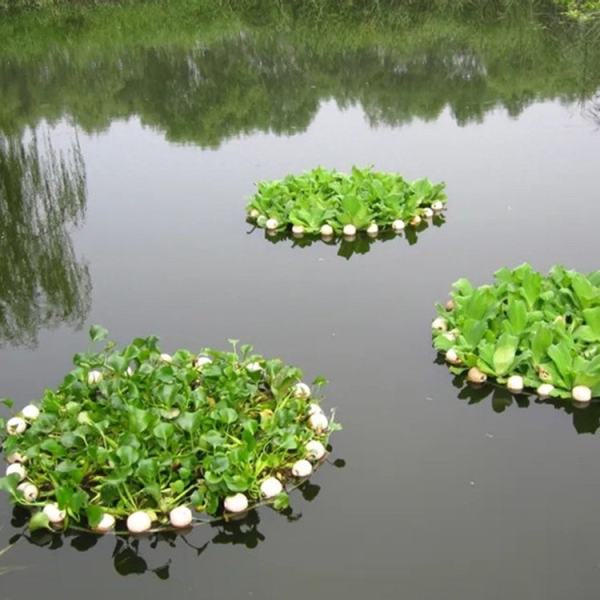 生態(tài)浮床