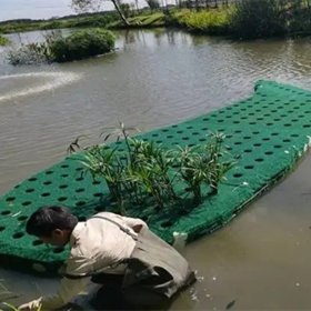 聚酯纤维浮动湿地 水上绿化水下森林造景工程 上门安装 人工浮床