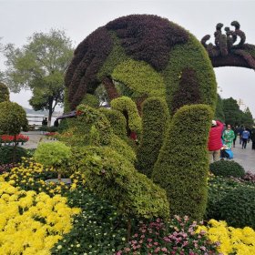 五色草造型绿雕 网红打卡造型 仿真植物 耐腐蚀 来图定制