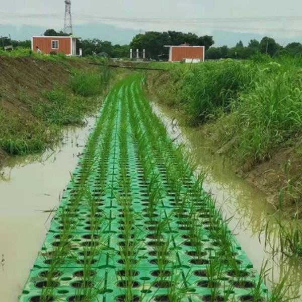 水生植物种植浮岛