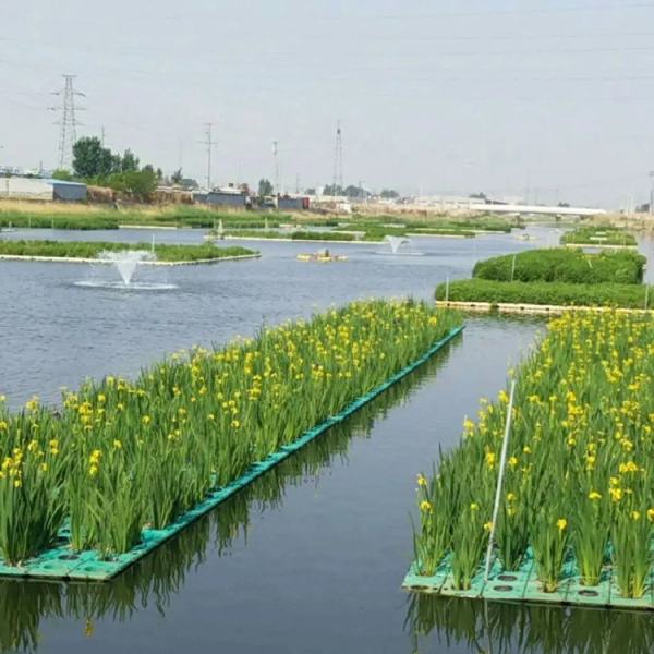 水生植物种植浮岛