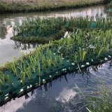 聚酯纤维浮动湿地 水道绿化水下森林布景净化水质工程造景