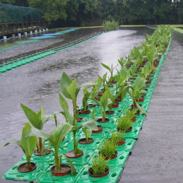 水生植物浮島