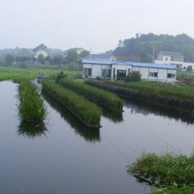 水生植物浮岛 水生植物观赏造景工程 支持上门安装净化河道