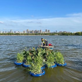 水上生态浮岛 水生植物水上种植 河底森林绿化造景工程 上门安装