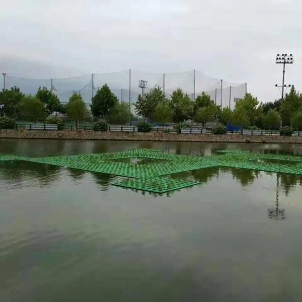 水生植物生态浮岛