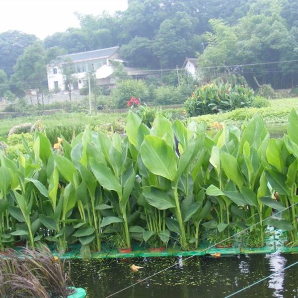 水上生態(tài)浮島