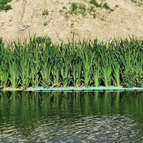 大型人工浮岛 水生植物水上种植 城市河道绿化公园水库 净化水质