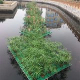 河馬人工浮島 綠化養(yǎng)護(hù) 水景觀賞 凈化水資源 組裝施工 支持定制