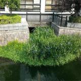 河马生态出售 设计定制 复合纤维浮田型湿地 水生植物栽培型浮床