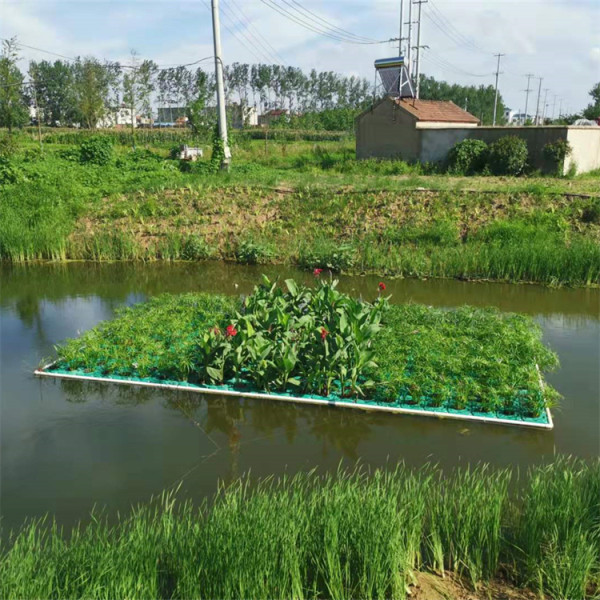 浮动湿地