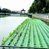 生态浮岛 河道绿化治污水生植物浮板 池塘造景