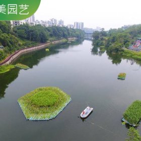 生态浮床 水上绿化工程 湖泊水面造景用 水生植物