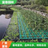 生态浮岛制作 净化水质 人工浮 河道治理 绿化工程定制