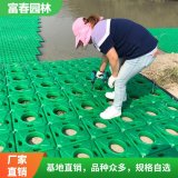 生态浮岛基地 绿化美化工程 水面种植浮 岛 水体净化浮床