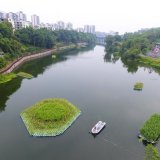 生态浮岛 造景观赏植物工程 人工浮床种植 河道治理绿化 湿地