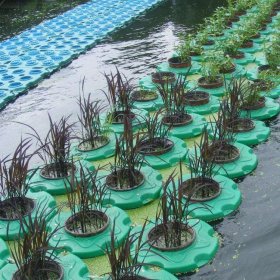 生态浮岛 水上景观施工湖面种植浮床 黑臭水治理 河道绿化