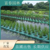 生態(tài)浮島施工設(shè)計(jì) 水上綠化工程 人工河道治理浮床