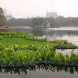 人工浮島設(shè)計 植物工程 水質(zhì)凈化綠化造景 水生植物生態(tài)浮床