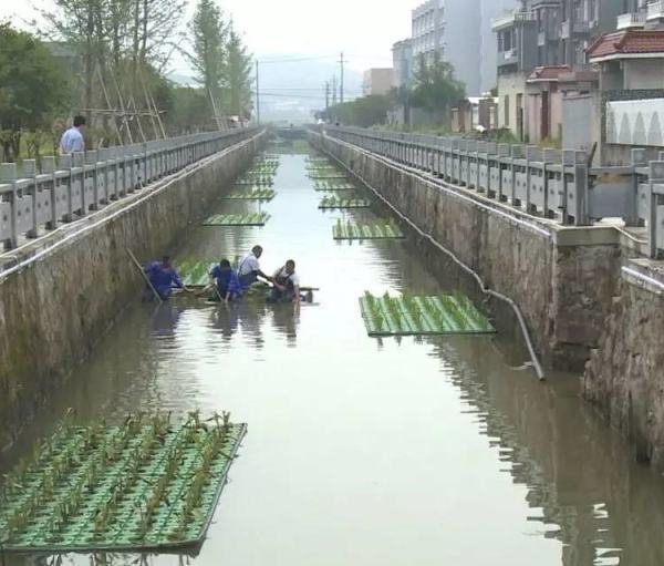 生態(tài)浮床