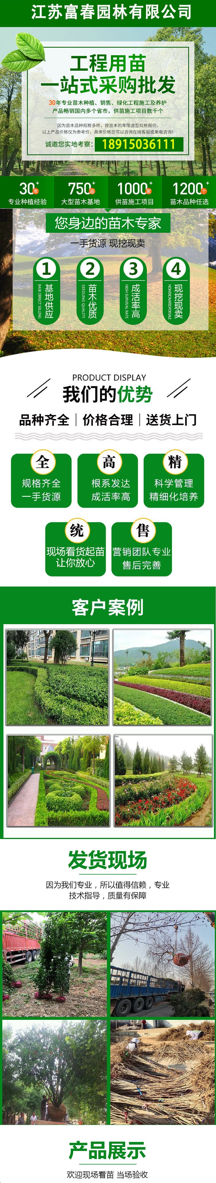 出售垂枝加拿大紫荆 红宝石瀑布园林景区绿化工程风景树 - kerry 发布