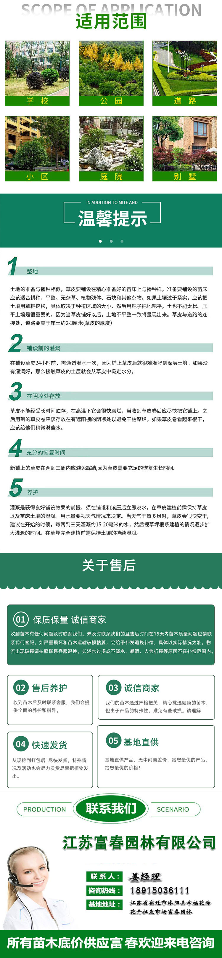 苗圃出售红花酢浆草庭院别墅观赏苗园林绿化种植造景花卉 - kerry 发布